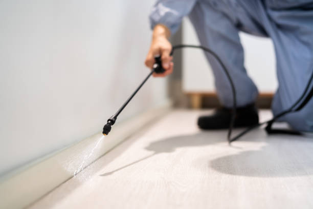 Licensed Pest Control service in Columbia Heights, MN - Show Me Pest Control