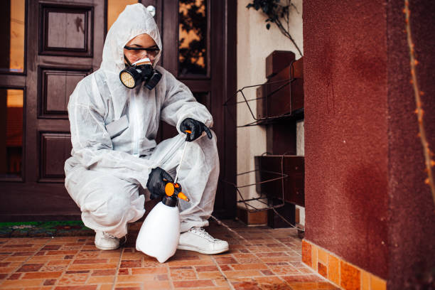 Multi-Unit and Airbnb Bed Bug Protocol in Columbia Heights