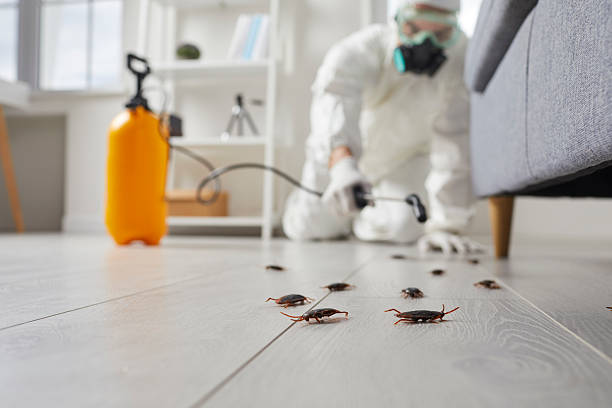 Post-Treatment Bed Bug Interceptor Monitoring in Columbia Heights