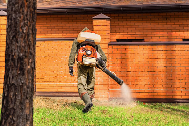 Bed Bug Clearance Verification and Documentation in Columbia Heights